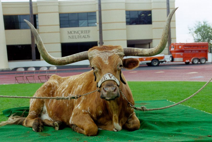 Bevo must have hit it hard on 6th Street