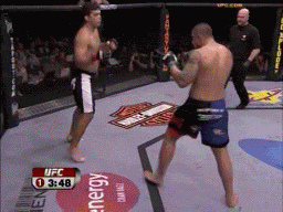 Sumo wrestling technique